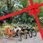 Bon cadeau dégustation de vin – Balade œnologique en Solex au château de Villeclare